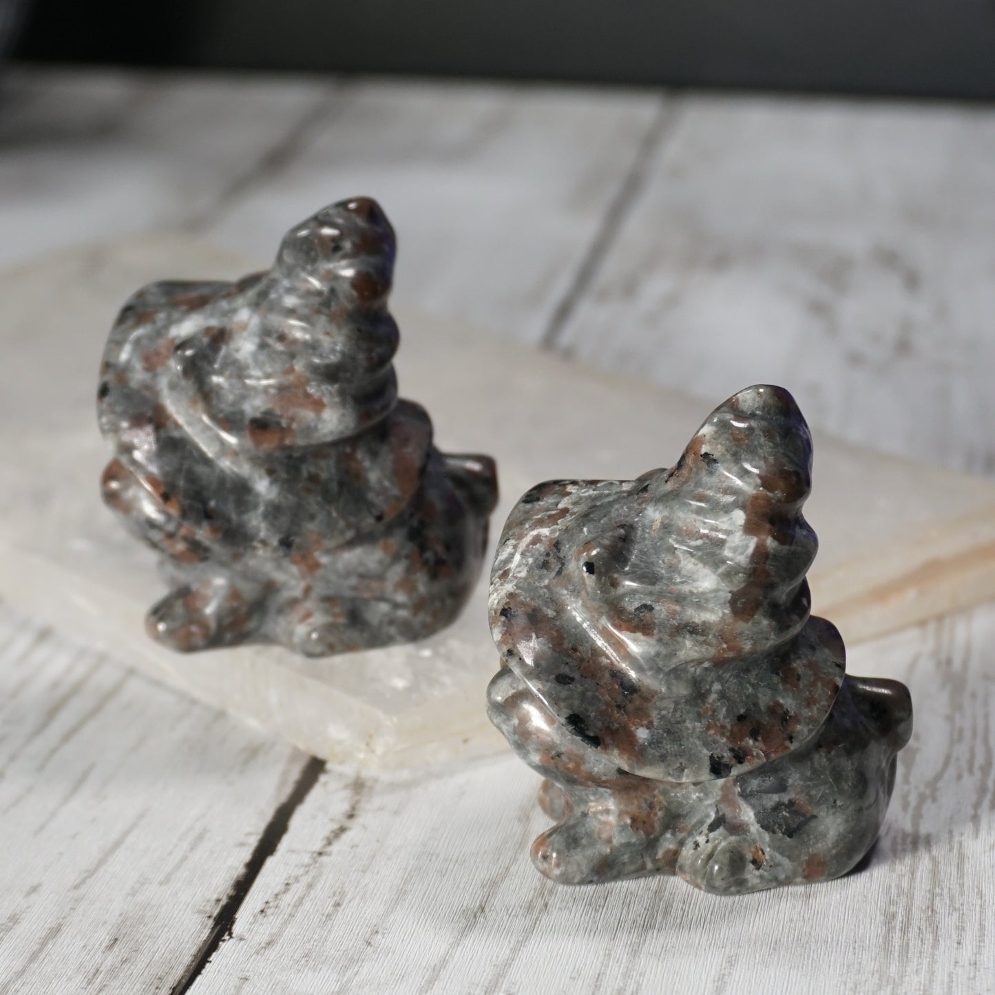 Witchy Kitty Cat Sodalite-Syenite
