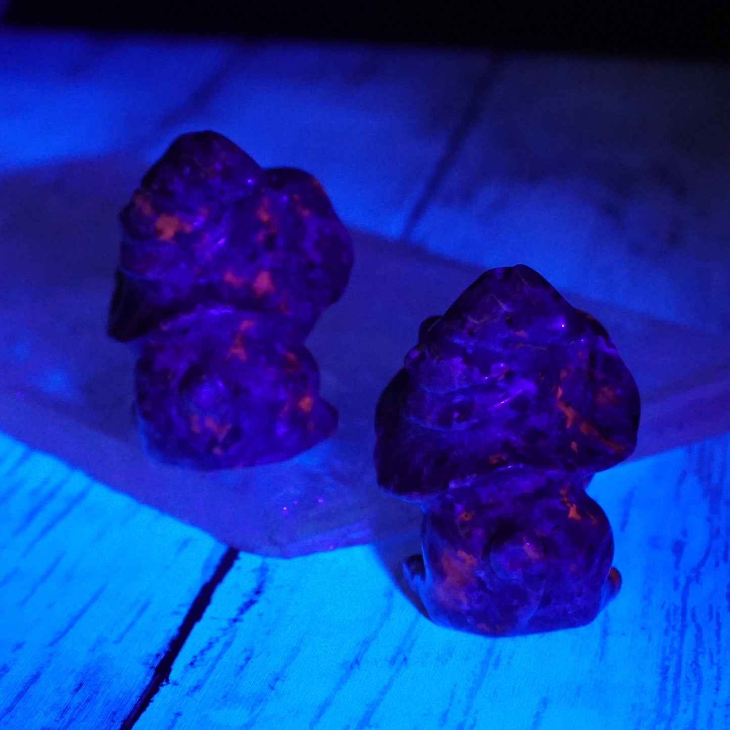 Witchy Kitty Cat Sodalite-Syenite