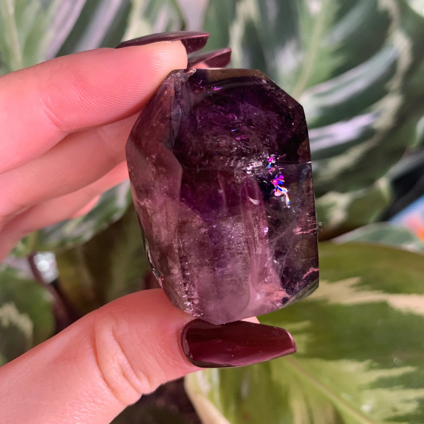 Elestial Smoky Amethyst Enhydro