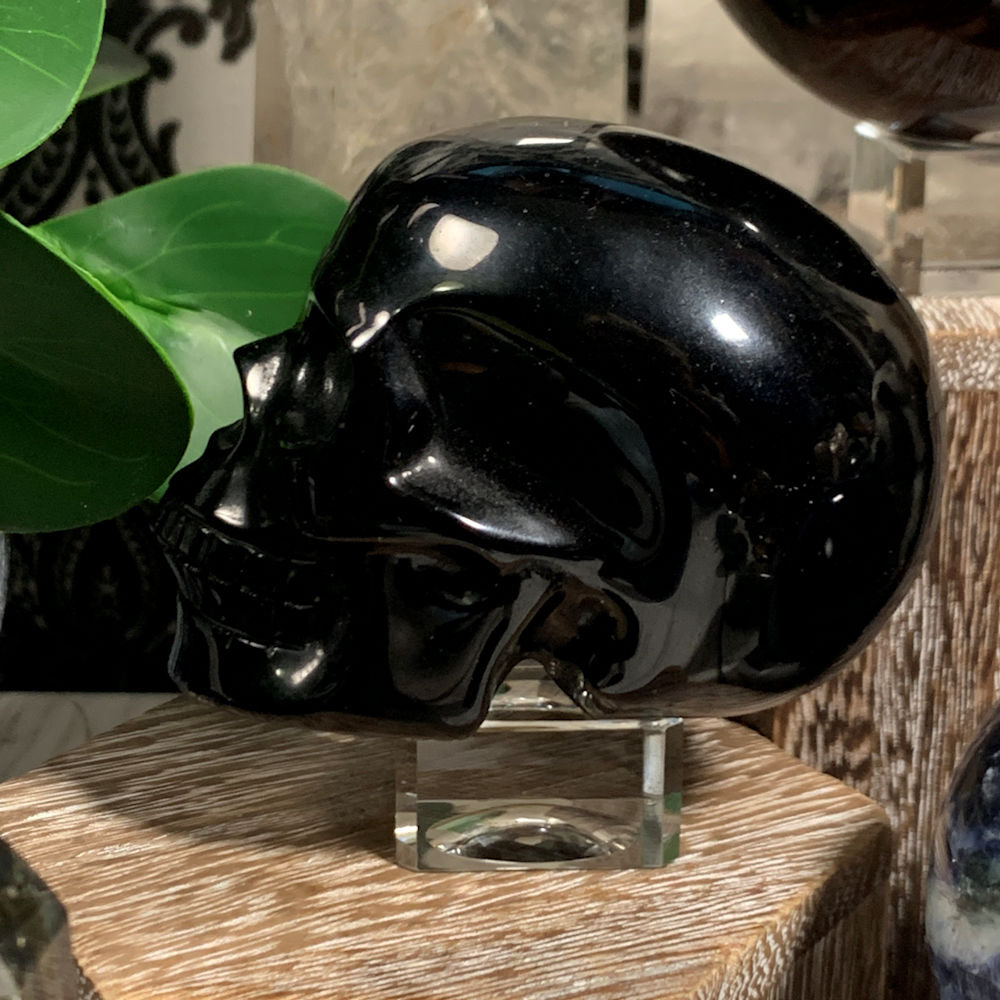 Black Obsidian Carved Skull
