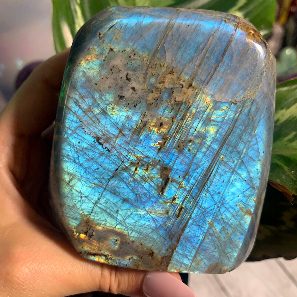 Light Blue Flash Labradorite Freeform