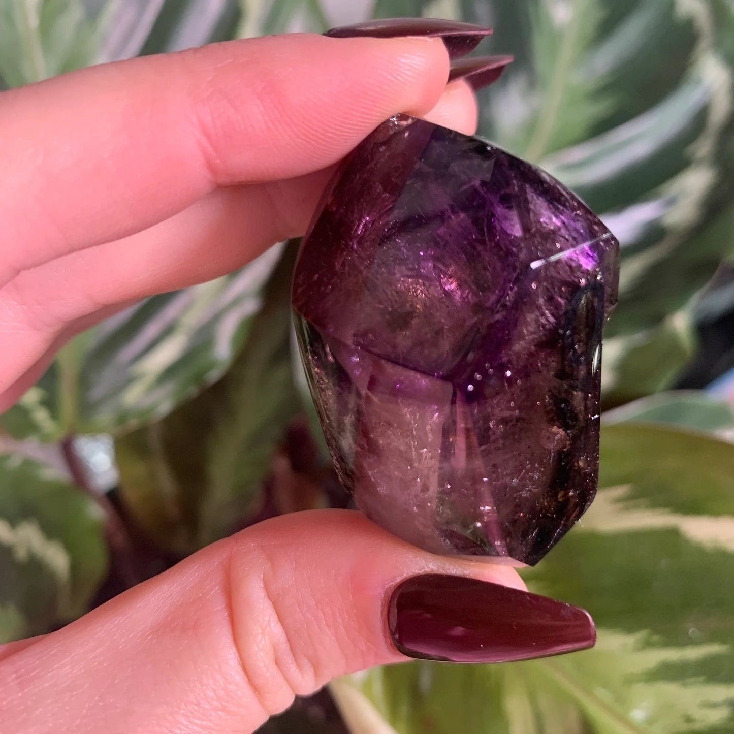 Elestial Smoky Amethyst Enhydro