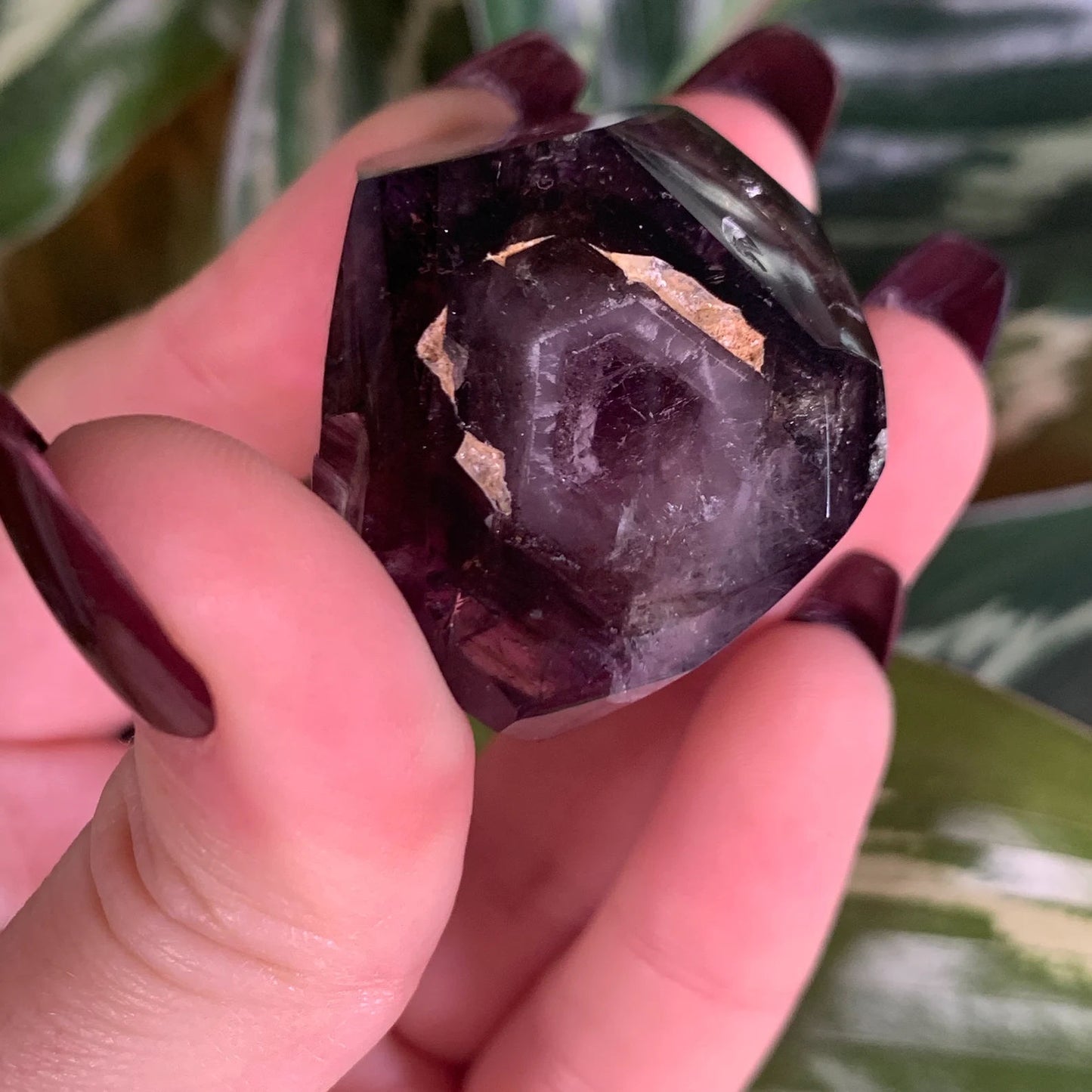 Elestial Smoky Amethyst Enhydro