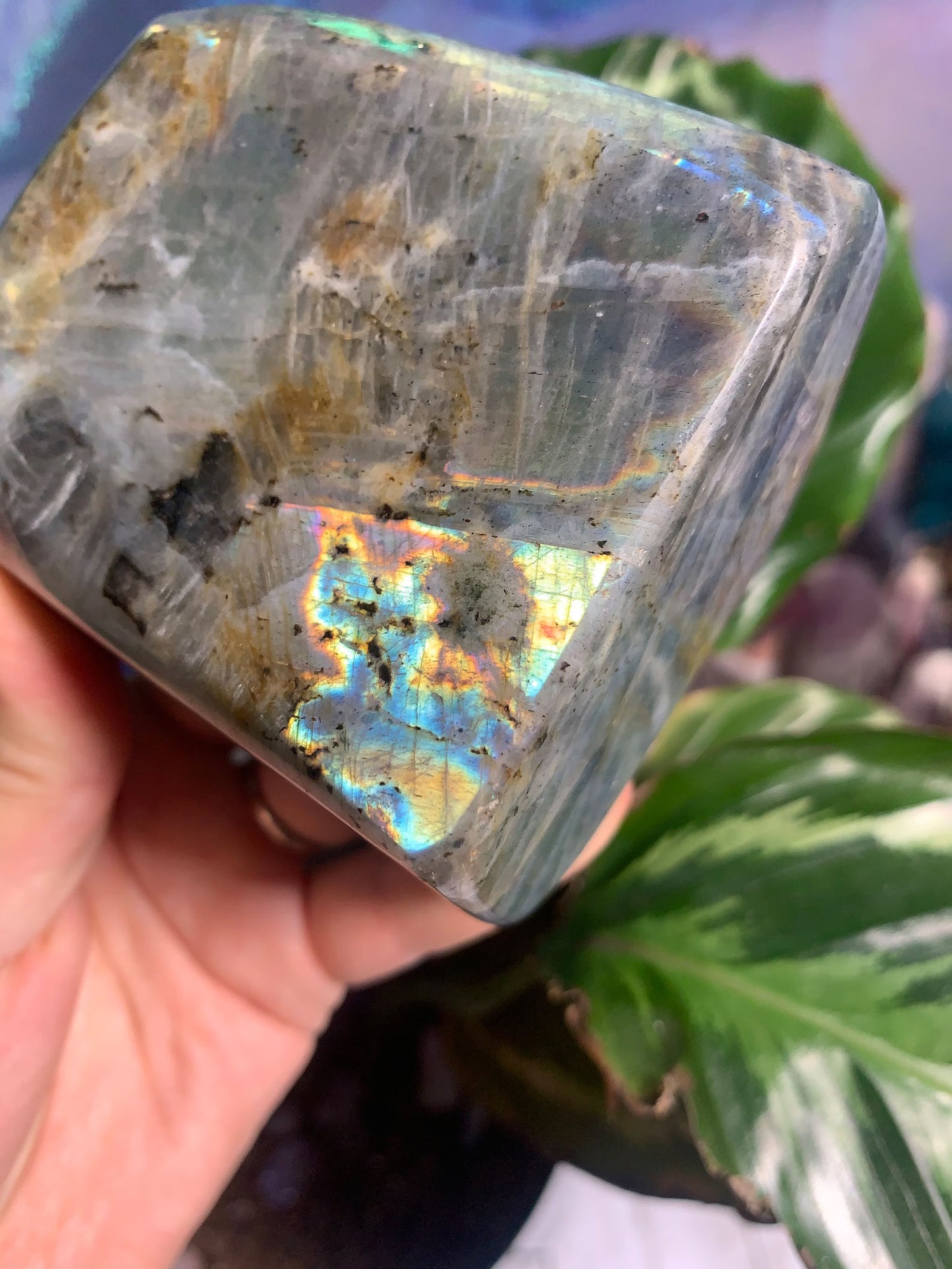 Light Blue Flash Labradorite Freeform