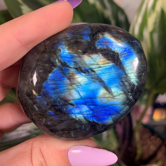 Electric Blue Leopard Flash Labradorite Palm Stone