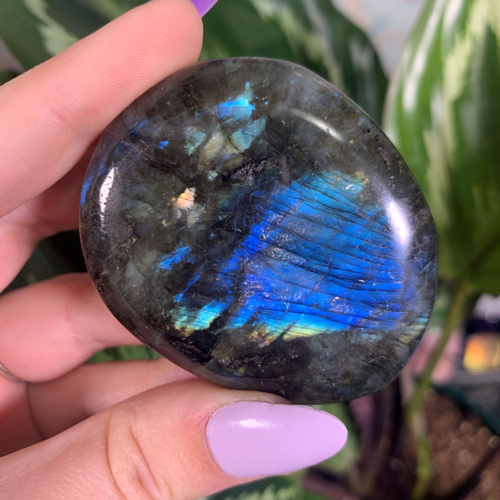 Electric Blue Leopard Flash Labradorite Palm Stone