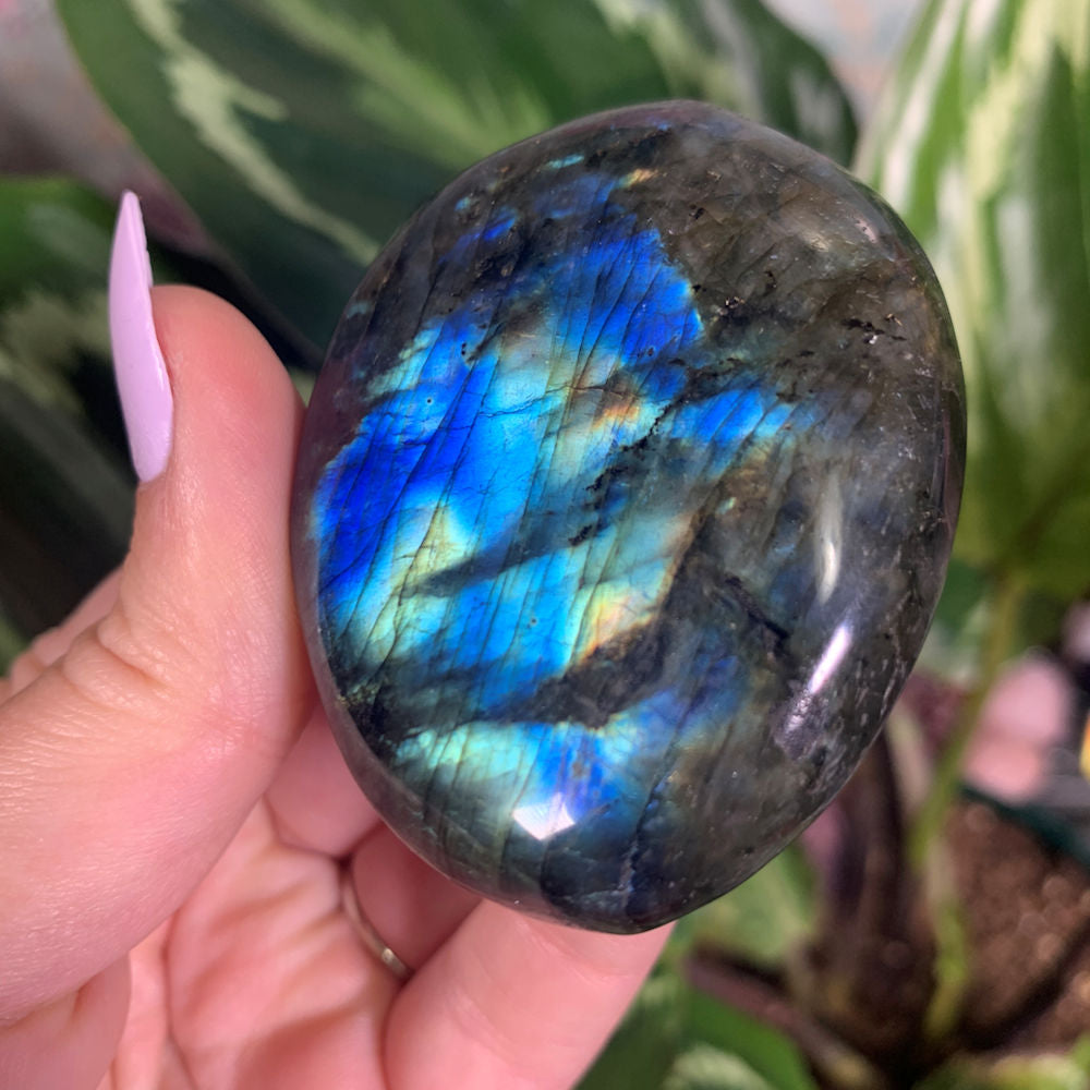 Electric Blue Leopard Flash Labradorite Palm Stone