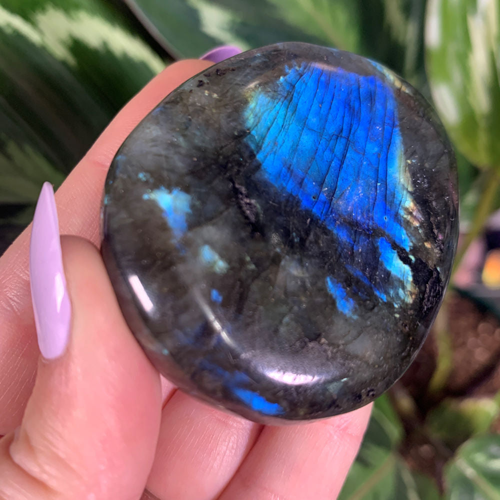 Electric Blue Leopard Flash Labradorite Palm Stone